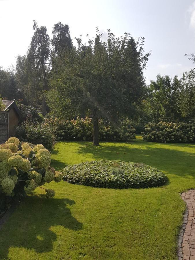 Ferienwohnung Zur Sonne เน็ทเทอทาล ภายนอก รูปภาพ